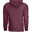 Heather Sport Dark Maroon - BACK